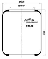 Wuhlermann 78662 - goma