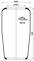 Wuhlermann 78719 - goma
